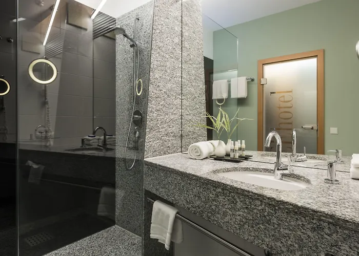 Seehotel Hotel Friedrichshafen